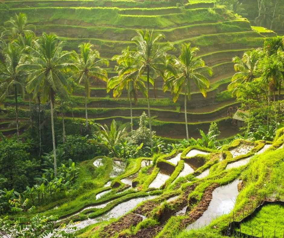 22 must things to do in Bali to double your enjoyment